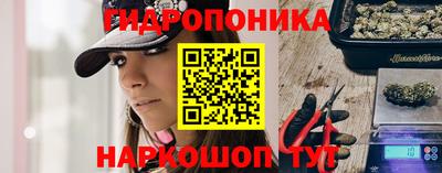 марихуана Аргун
